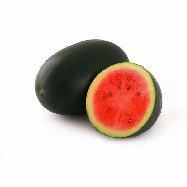 Watermilon Black Colour  - Black, Small