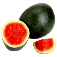 Watermilon Black Colour  - Black, Small
