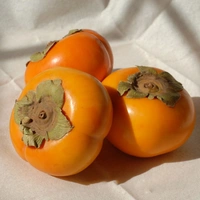 Persimmon Fruit - Web Orange, Big