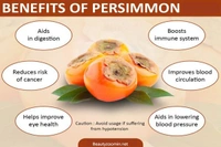 Persimmon Fruit - Web Orange, Big