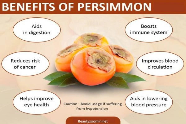 Persimmon Fruit - Web Orange, Big