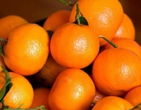 Kinnu Orenge  - Web Orange, Big