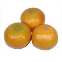 Kinnu Orenge  - Web Orange, Big