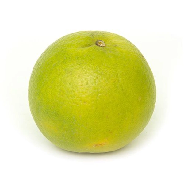 Mosambi s (Sweet Lime) - Green, Big