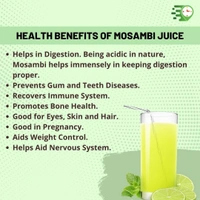 Mosambi s (Sweet Lime) - Green, Big