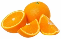 Malta Orenge  - Web Orange, Medium