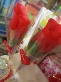 Gift Rose - Red, 6 Inch
