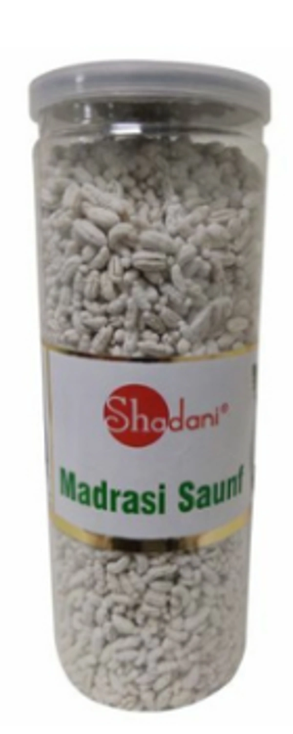 PAANSMITH MADRASI SAUNF  - 180 GM