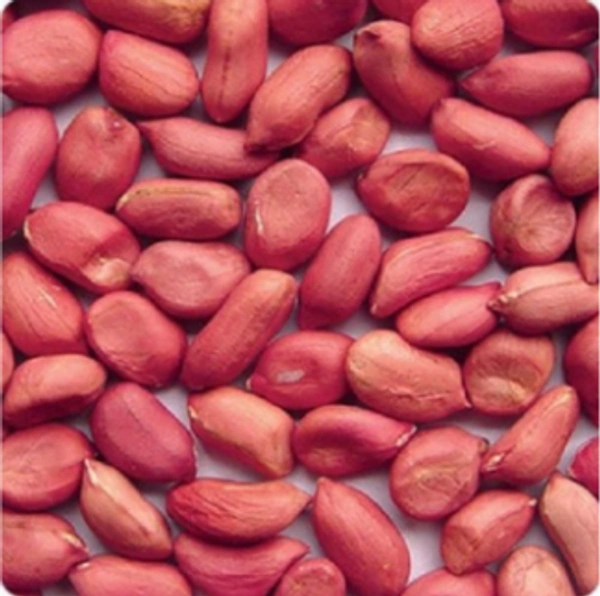 RED MOONGFALI - 500 GM