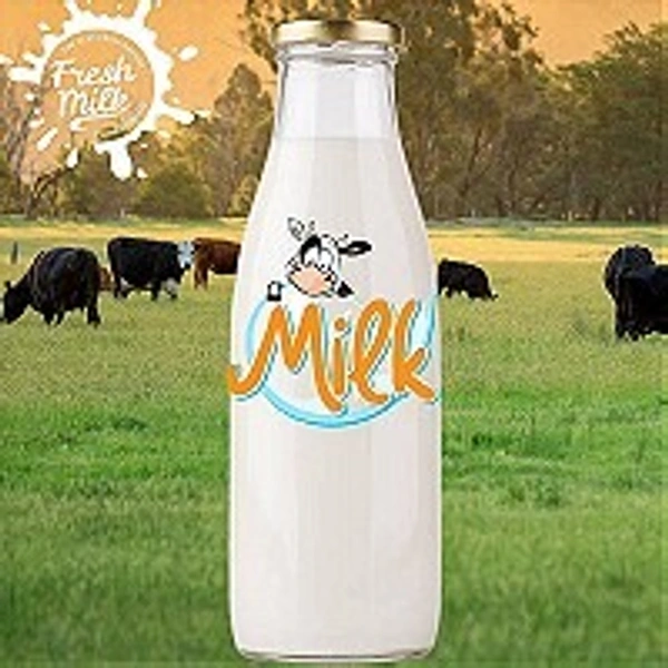 PREMIUM COW MILK - 1 L