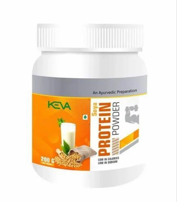PROTEIN POWDER 200GM - Web Orange