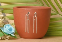 Silver earrings