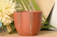 Silver earrings