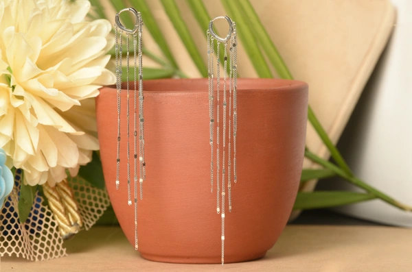 Silver earrings