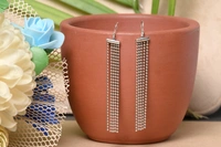 Silver earrings