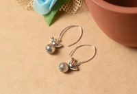 Silver earrings
