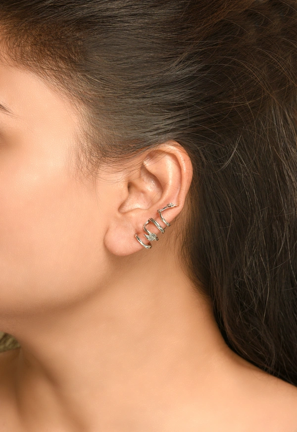 Silver earrings