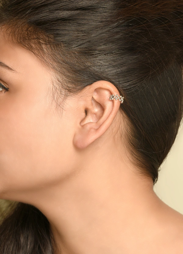 Silver earrings