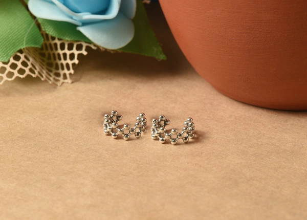 Silver earrings