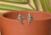 Silver earrings