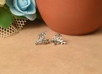 Silver earrings