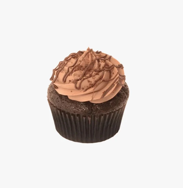 Triple Chocolate Fudge Party Cupcake