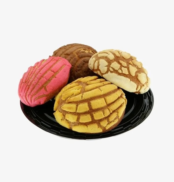 Variety Conchas