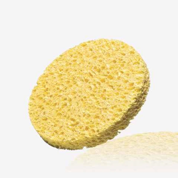 Cleansing Sponge