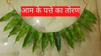 आम का पत्ता 