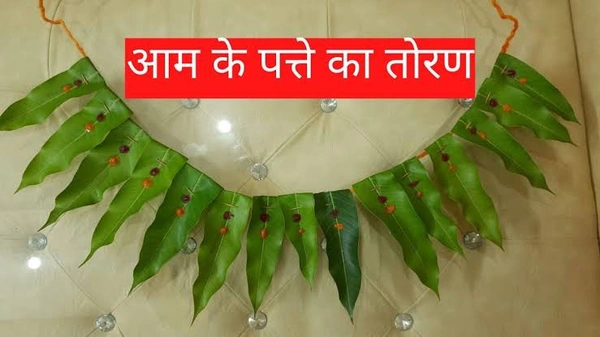 आम का पत्ता 