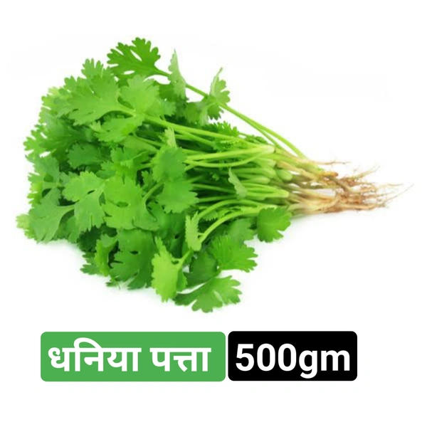 धनिया पत्ता Dhaneya Patta Coriander Leaf