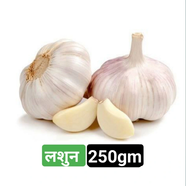 लशुन Lashun ( Garlic )