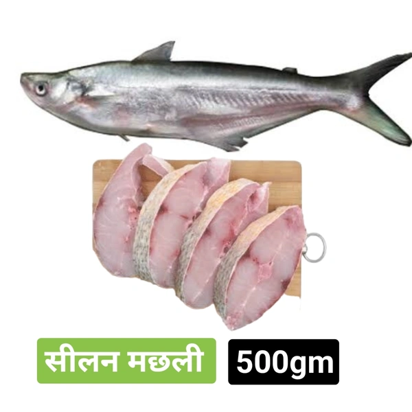 सीलन मछली Silan Machli 