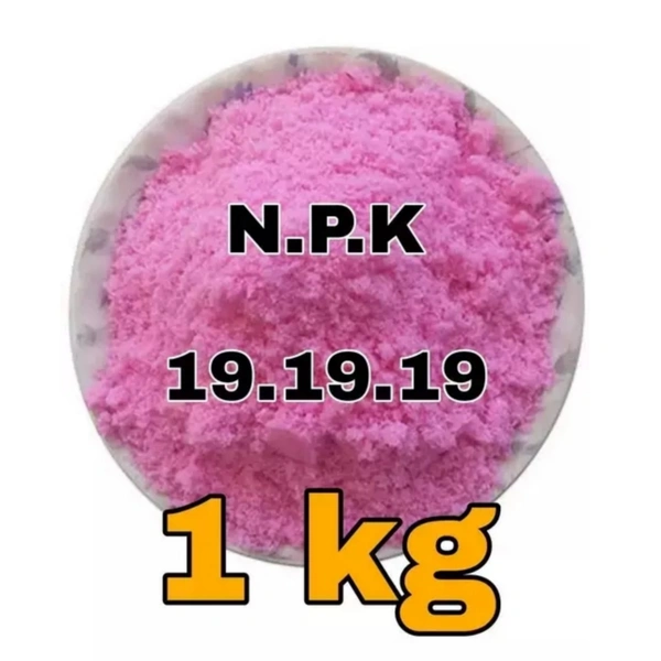 Bagga Planters Npk 19 19 19  - 1kg