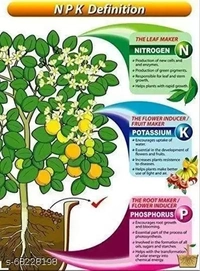 Bagga Planters Npk 19 19 19  - 1kg