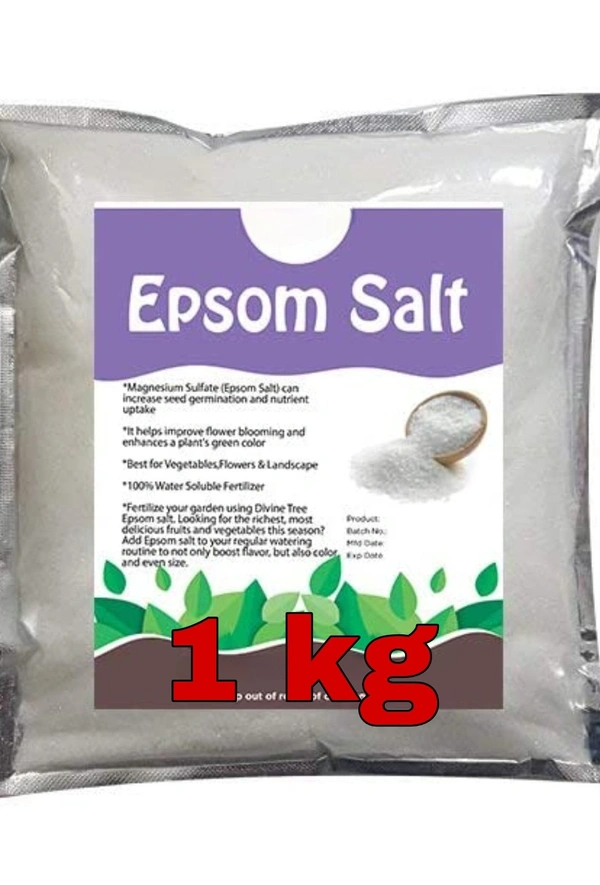 Bagga Planters Epsom Salt  - 1 Kg