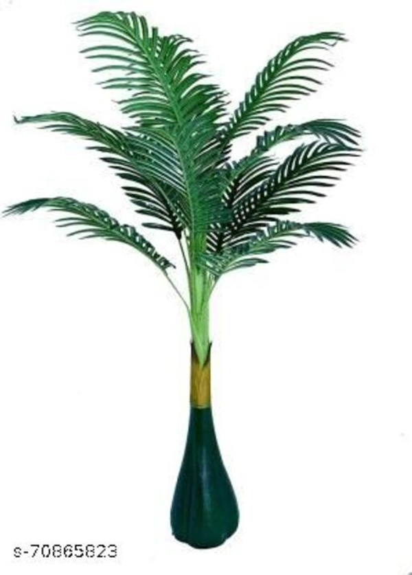 Areca Palm  - Height 4ft