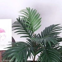 Areca Palm  - Height 4ft