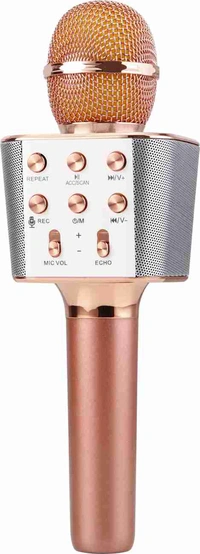MZ M804 (KARAOKE MIC WITH SPEAKER) Rechargeable FM Radio Voice Changer Microphone 53
