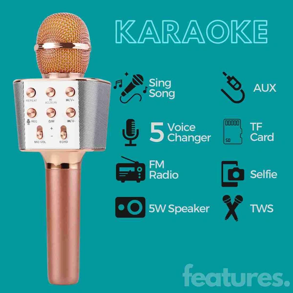 MZ M804 (KARAOKE MIC WITH SPEAKER) Rechargeable FM Radio Voice Changer Microphone 53