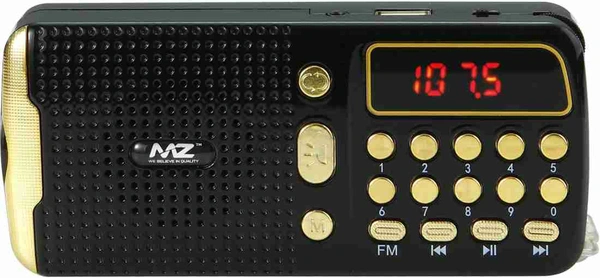MZ M42VP (PORTABLE BLUETOOTH SPEAKER)Dynamic Sound with Wireless FM & InBuilt Torch FM Radio  (Black)
