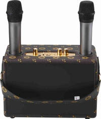 MZ M435SP (PORTABLE BLUETOOTH SPEAKER) Dynamic Thunder Sound with 2 wireless mics 40 W Bluetooth Party Speaker  (Printed Brown, Stereo Channel)