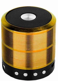 WS 887 MZ Mini Speaker