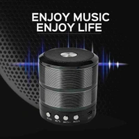 WS 887 MZ Mini Speaker