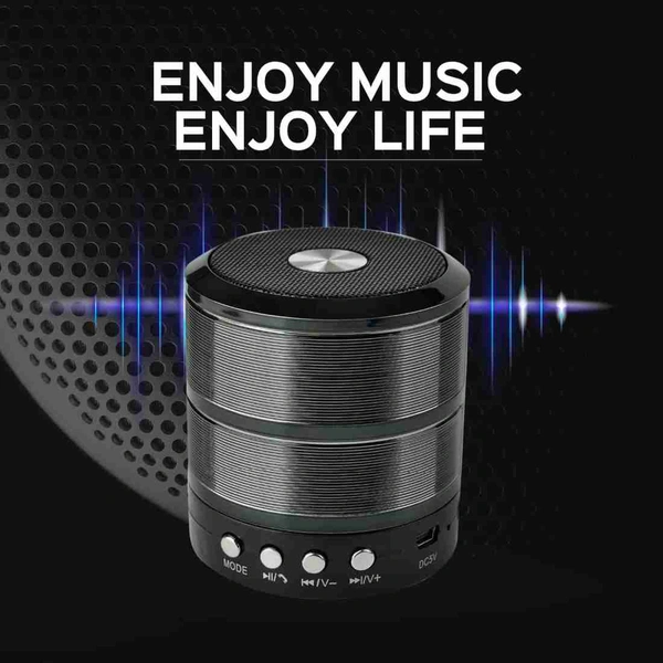 WS 887 MZ Mini Speaker