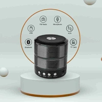 WS 887 MZ Mini Speaker