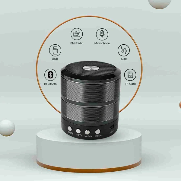 WS 887 MZ Mini Speaker