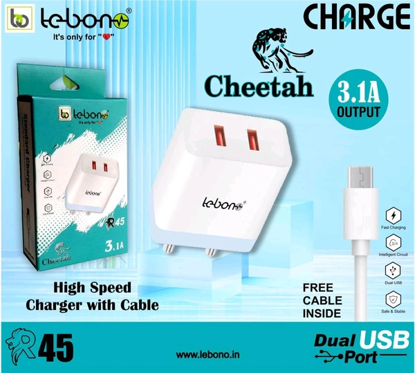 Lebon R45 Type C Charger (6month Warranty