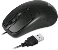 Enter Enternal Mouse 