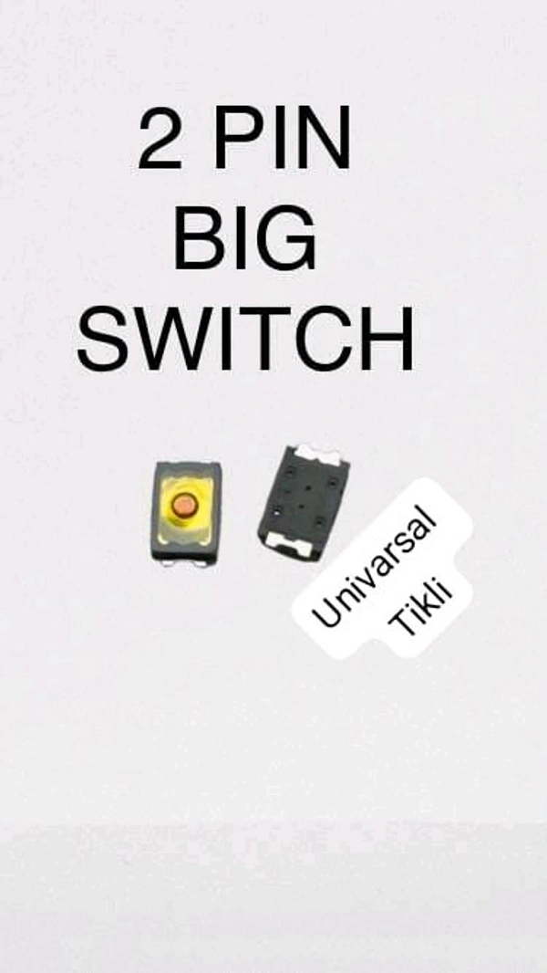 2pin Big On Off Tikli